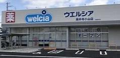 藤井寺市小山8丁目　中古テラスハウス ドラッグストア