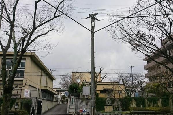京都市北区紫竹上竹殿町　1号地　建築条件無売土地 小学校