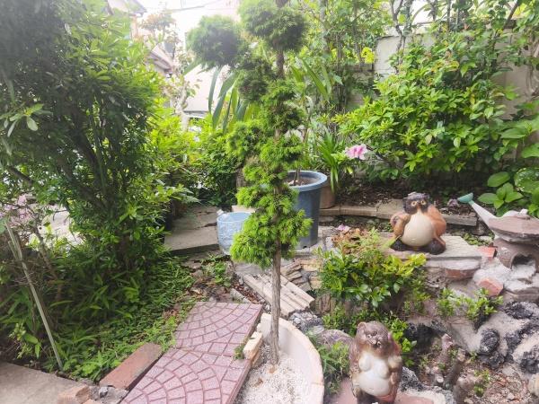 京都市山科区上花山桜谷　中古戸建 現地写真（庭）