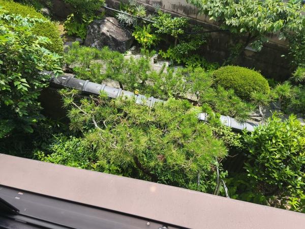 京都市伏見区深草願成町　中古戸建 現地写真（その他）