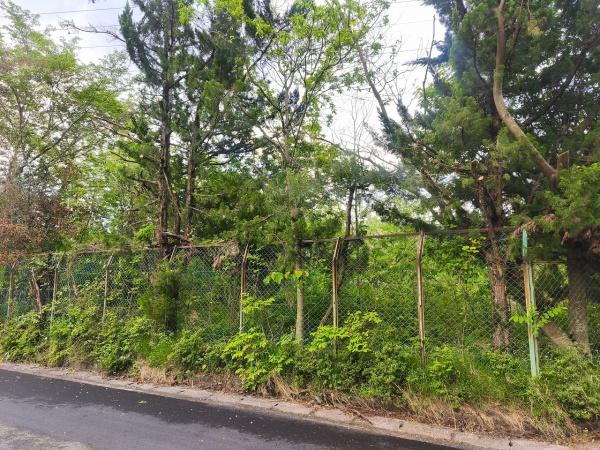 滋賀県高島市マキノ町西浜　建築条件無売土地 現地写真