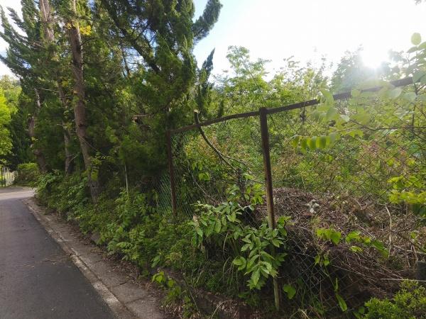 滋賀県高島市マキノ町西浜　建築条件無売土地 現地写真
