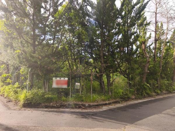 滋賀県高島市マキノ町西浜　建築条件無売土地 現地写真