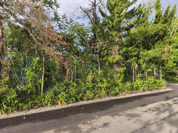 滋賀県高島市マキノ町西浜　建築条件無売土地 現地写真