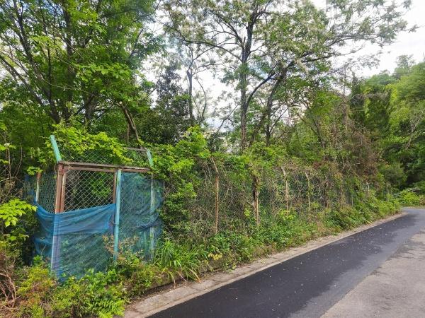 滋賀県高島市マキノ町西浜　建築条件無売土地 現地写真