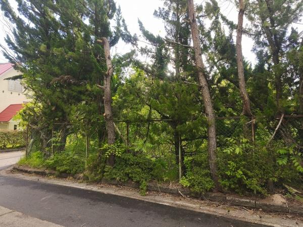 滋賀県高島市マキノ町西浜　建築条件無売土地 現地写真