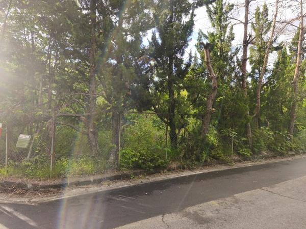 滋賀県高島市マキノ町西浜　建築条件無売土地 現地写真