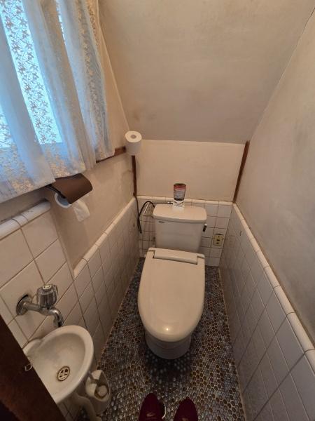 堺市北区野遠町　中古戸建 内観写真（トイレ）