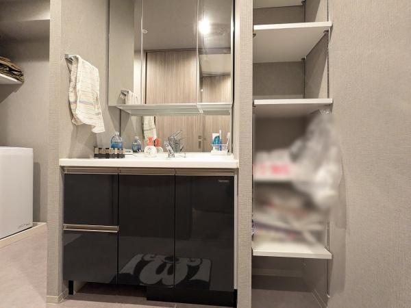 パラドール四条梅津 内観写真（洗面台・洗面所）