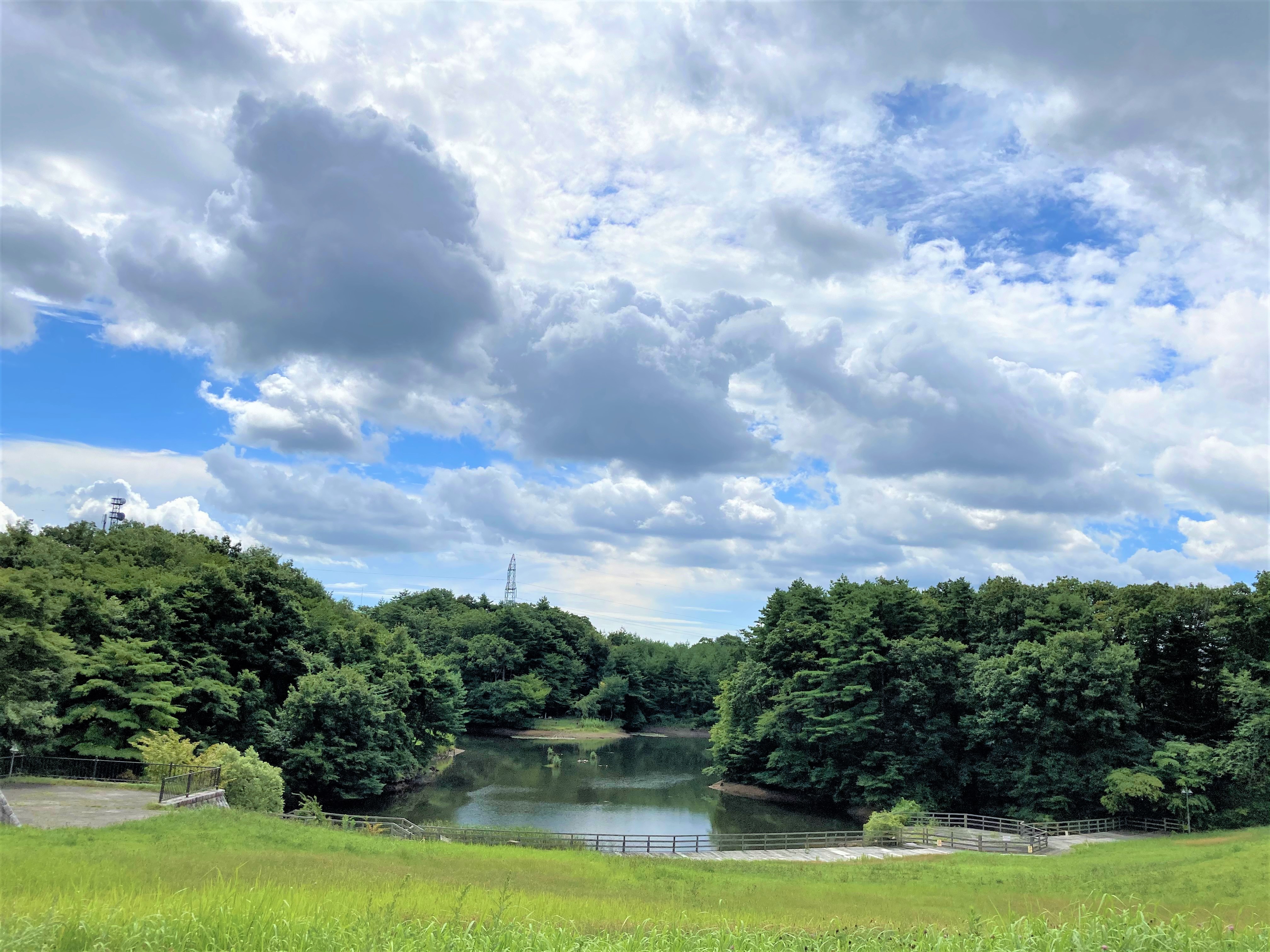 宮城県仙台市泉区桂3-26-9 公園