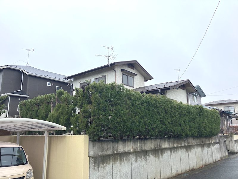 とちの木 その他