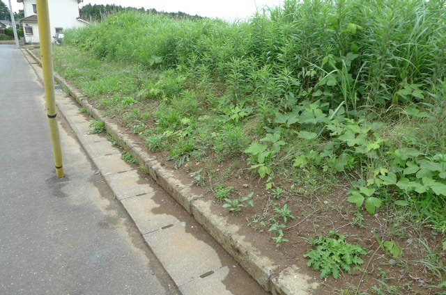 小美玉市羽鳥　土地 現地写真（前面道路含む現地写真）