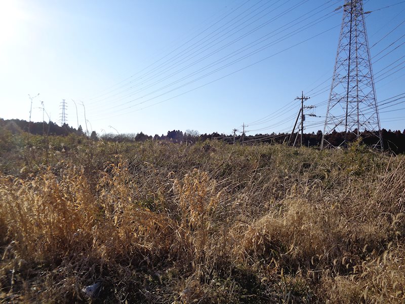 阿見町大形　土地 現地写真