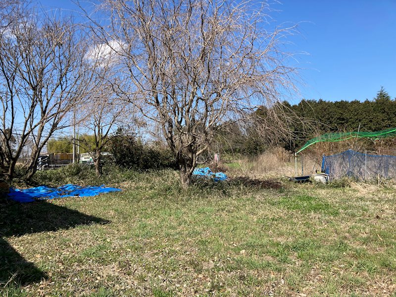 つくば市大井　土地 その他