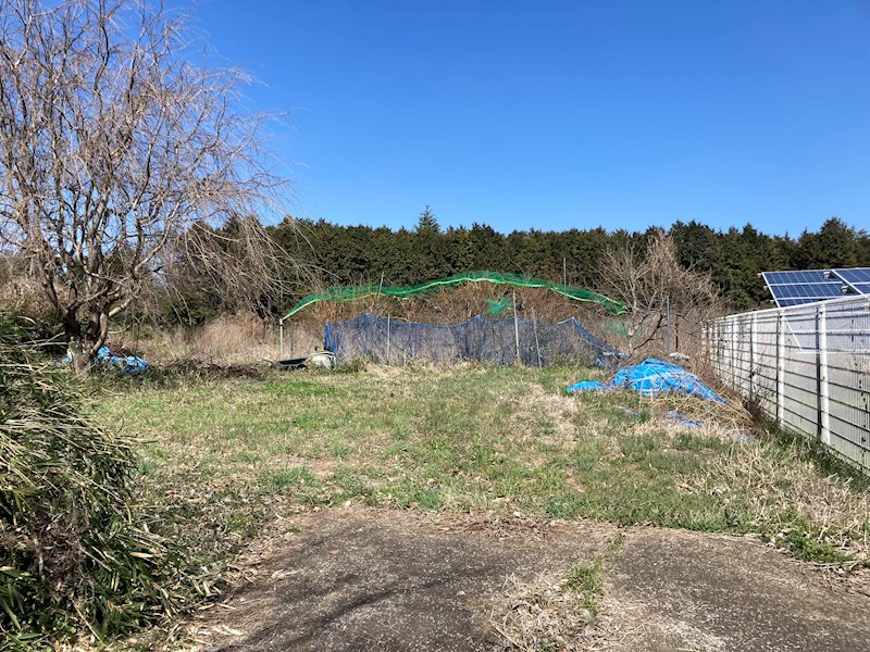 つくば市大井　土地 その他