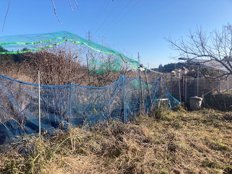つくば市大井　土地 その他