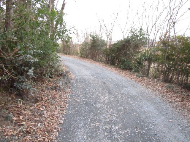 古河市諸川　土地 現地写真（前面道路含む現地写真）