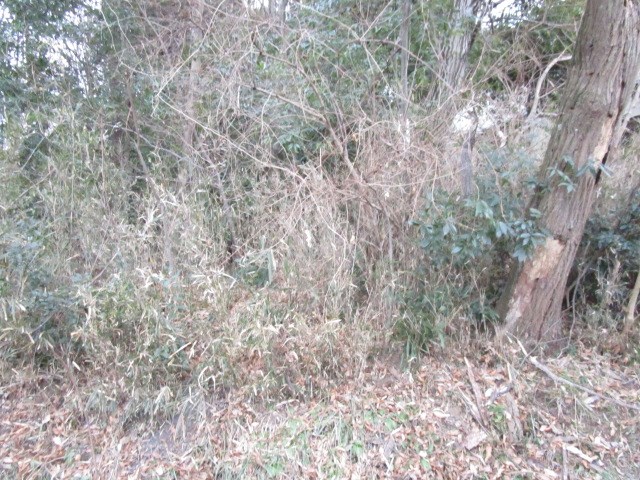 古河市諸川　土地 現地写真