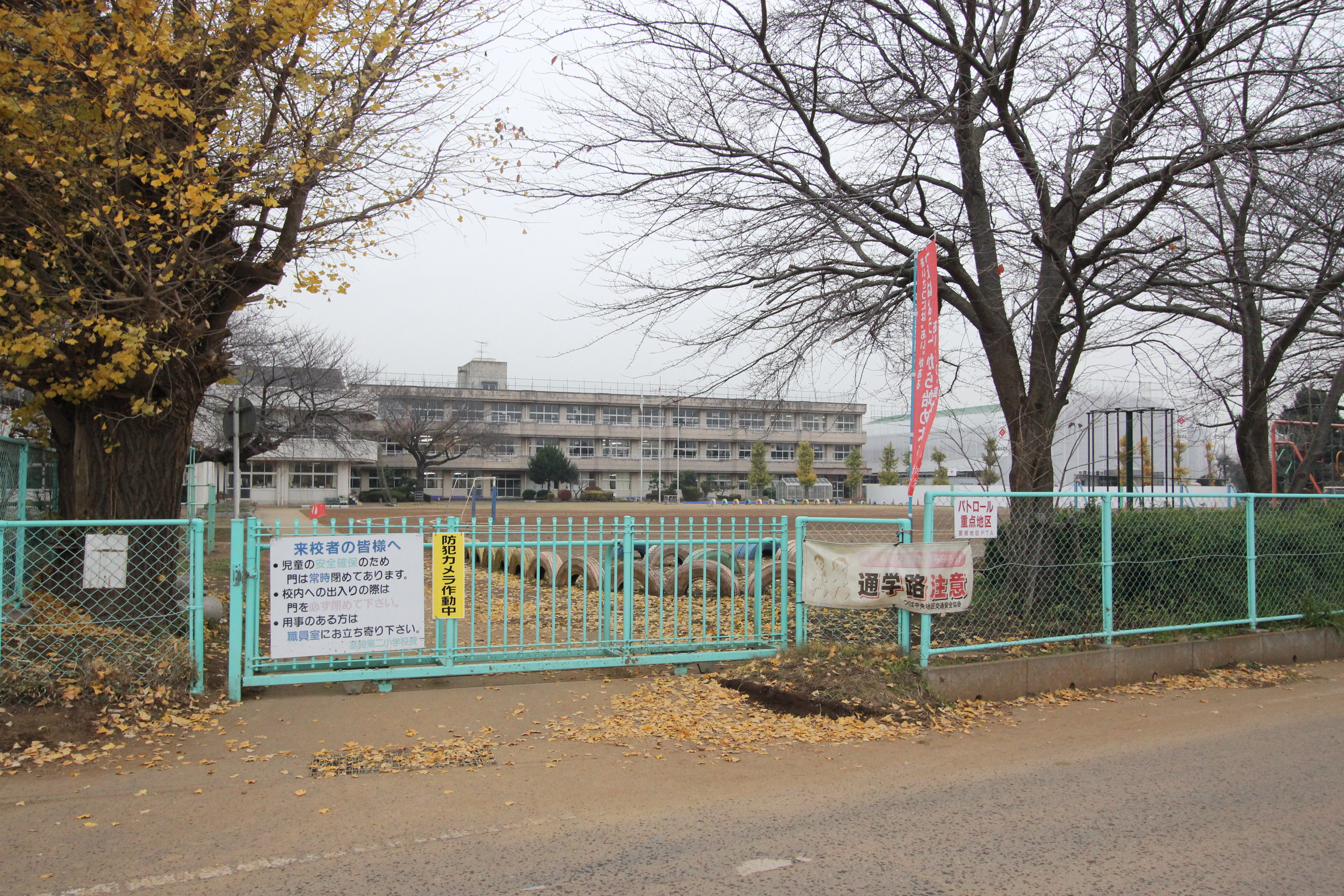 つくば市自由ヶ丘　土地 小学校