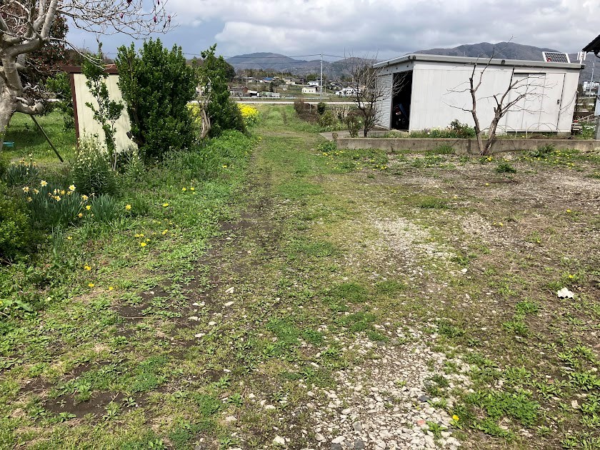 桜川市西小塙　土地 現地写真