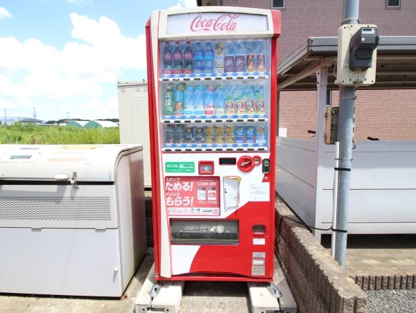 Ever Green つくば その他