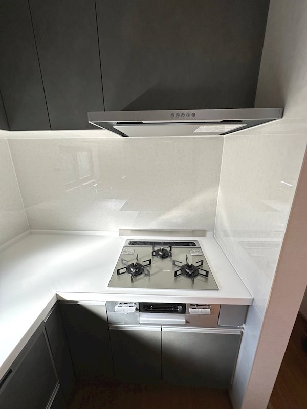 さいたま市見沼区南中丸戸建 その他
