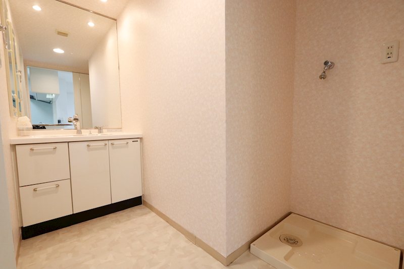 サンクレイドル古河 内観写真（洗面台・洗面所）