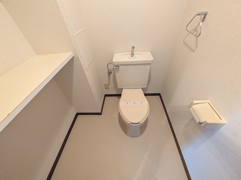 ライフヒルズ星の郷南１番館 内観写真（トイレ）