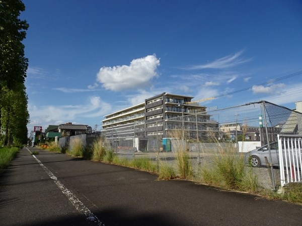 つくば市二の宮１丁目　土地 現地写真（前面道路含む現地写真）