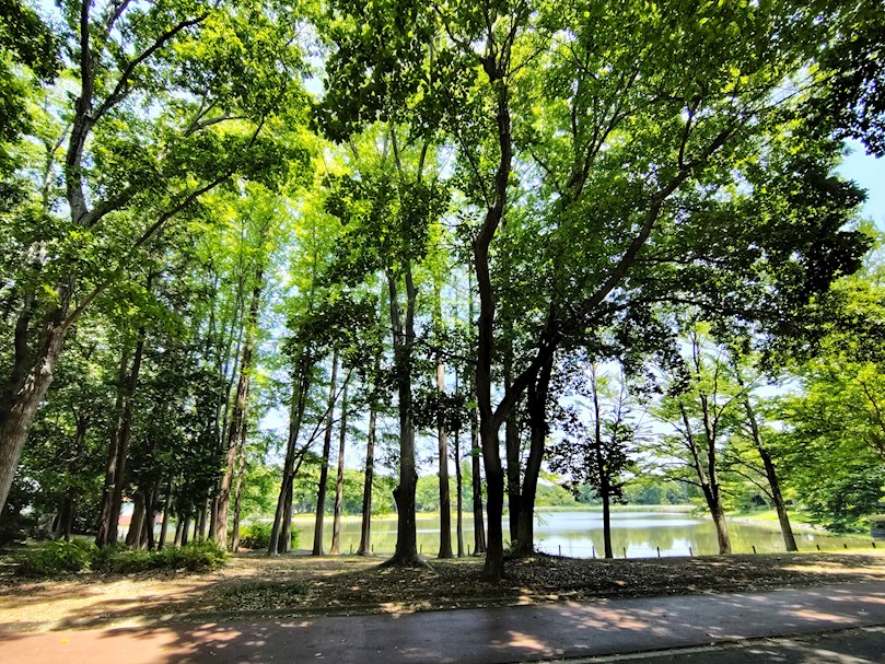 つくば市二の宮１丁目　土地 公園