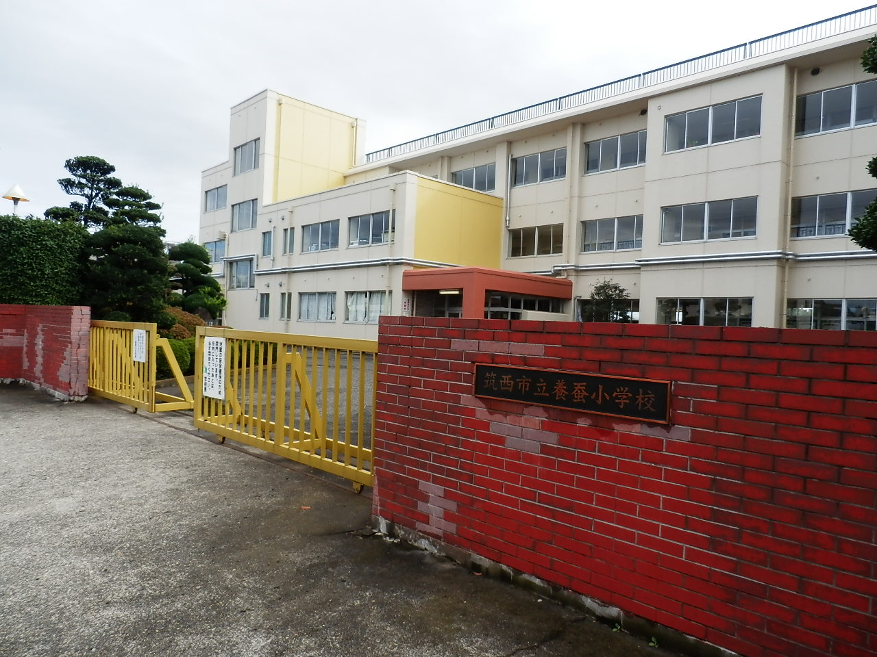 筑西市下岡崎２丁目　中古戸建 小学校