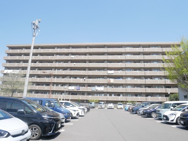 サンフォレスト水戸 共用部写真（駐車場）