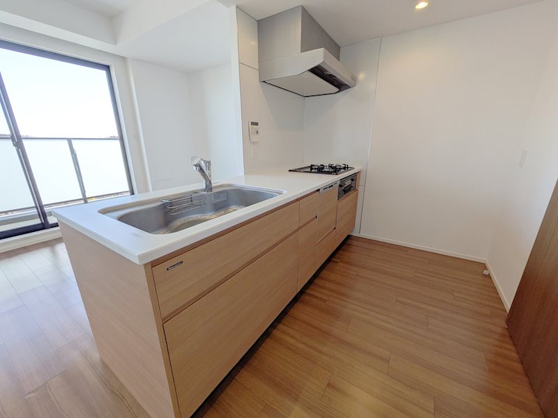 プレミスト菊名 509号室 その他