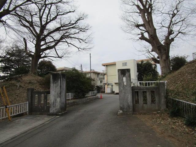 茨城県石岡市国府２丁目 小学校