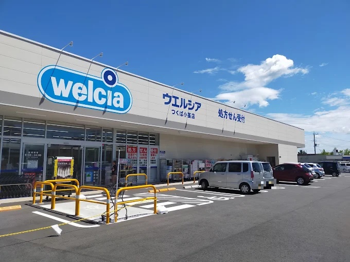 つくば市高崎　土地 ドラッグストア