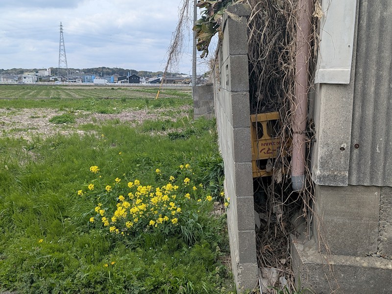常陸太田市三才町　土地 現地写真