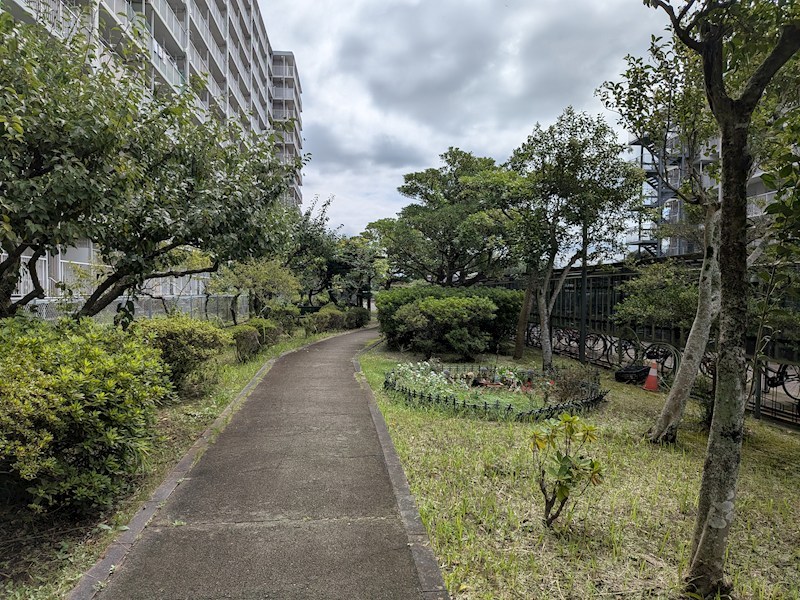 マンハイム佐貫Ａ棟　9F その他