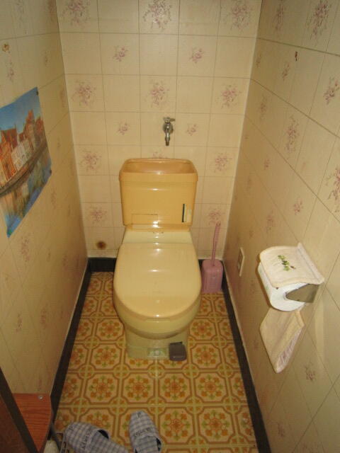 石岡市山崎　中古戸建 内観写真（トイレ）
