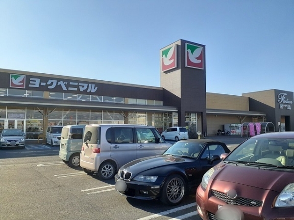 坂東市岩井　中古戸建 ショッピング施設