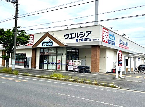 龍ケ崎市野原町　中古戸建 ドラッグストア