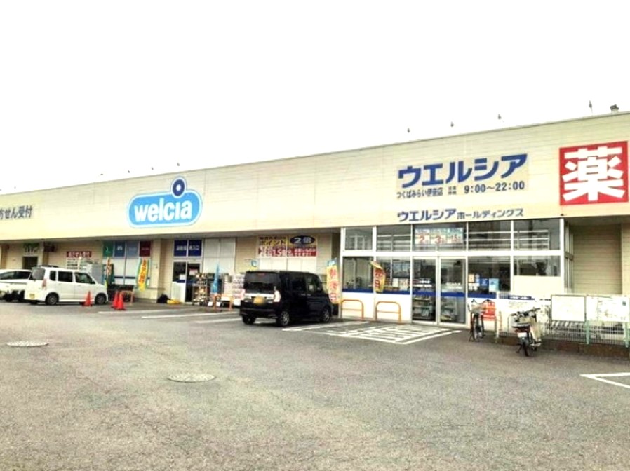 つくばみらい市豊体　中古戸建 ドラッグストア