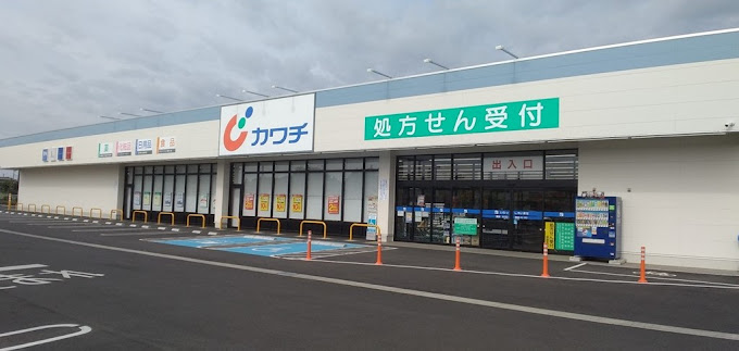 牛久市田宮町　中古戸建 ドラッグストア