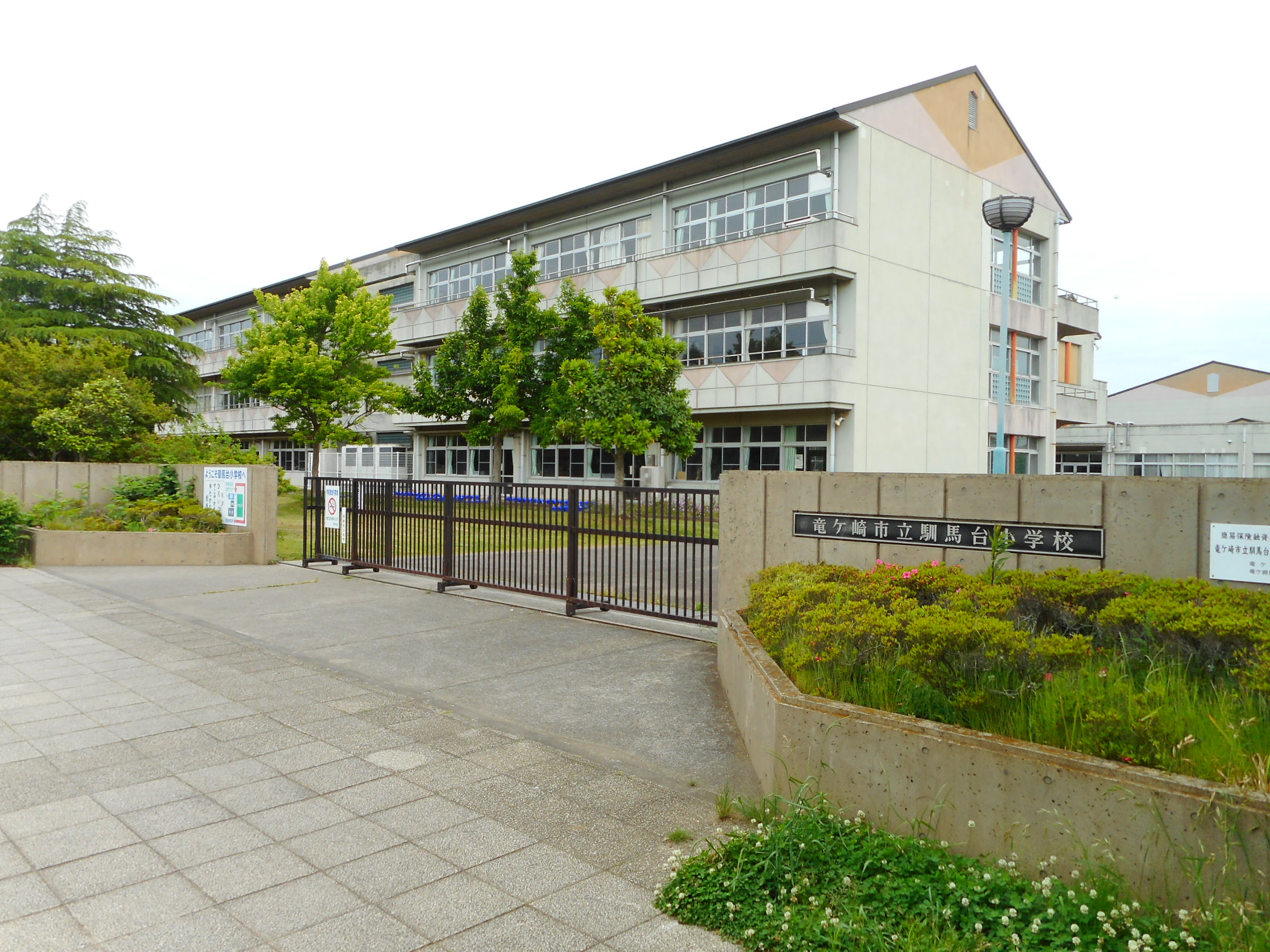 リガーレ龍ケ崎市平台４丁目　新築戸建７期　１号棟 小学校