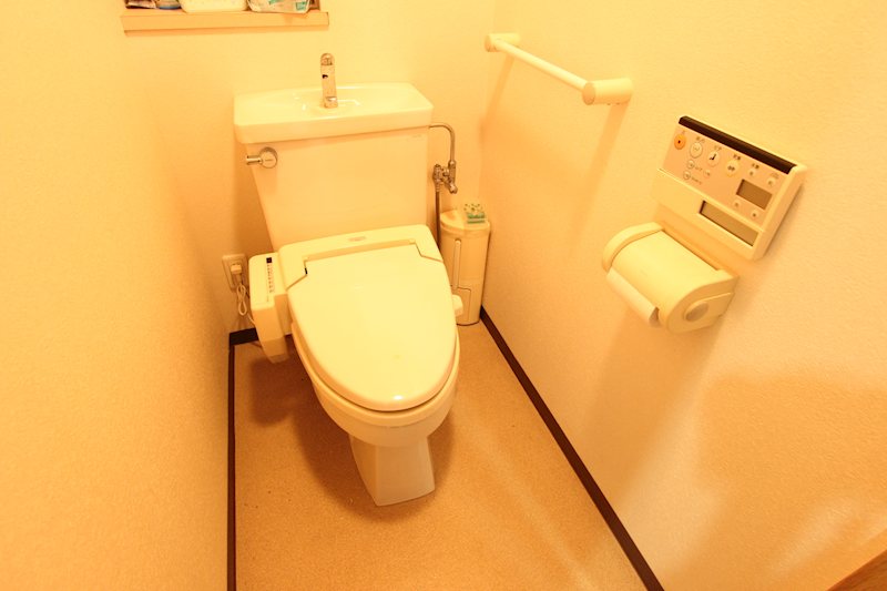 ソリッドタワー  内観写真（トイレ）