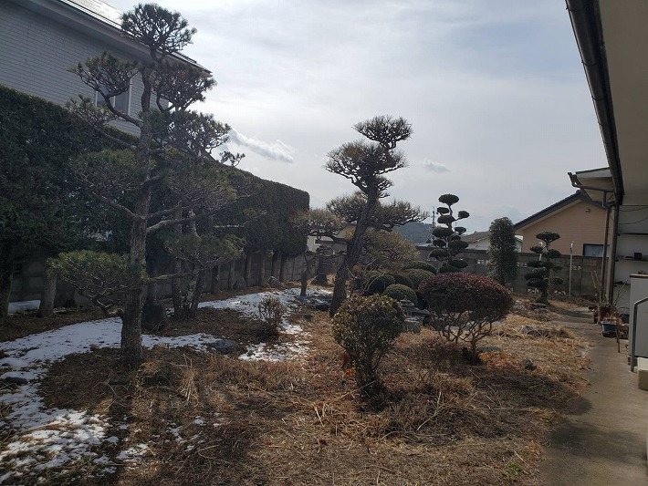 小諸市乙女　中古戸建 現地写真（庭）
