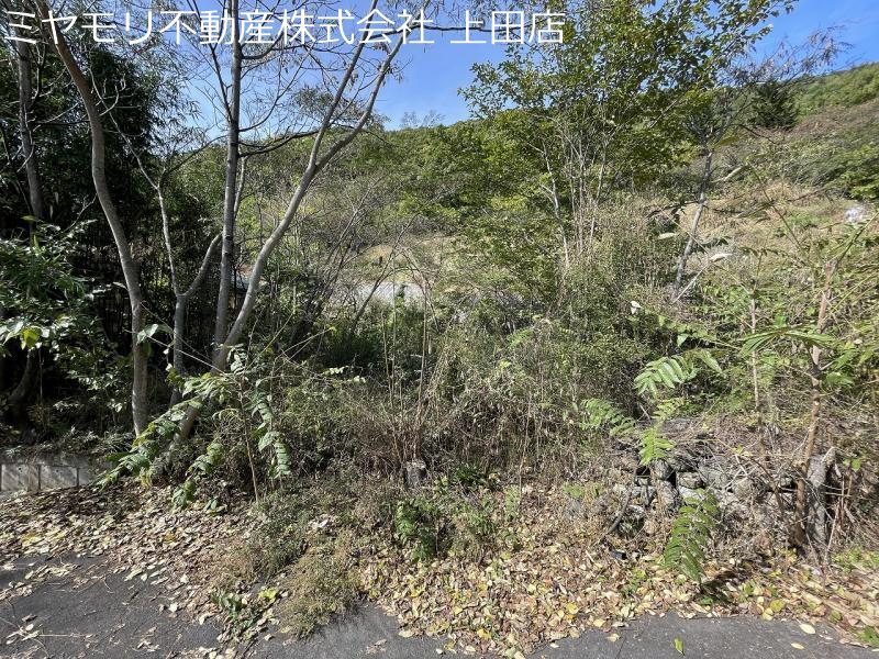上田市上田土地 現地写真