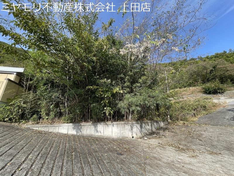 上田市上田土地 現地写真