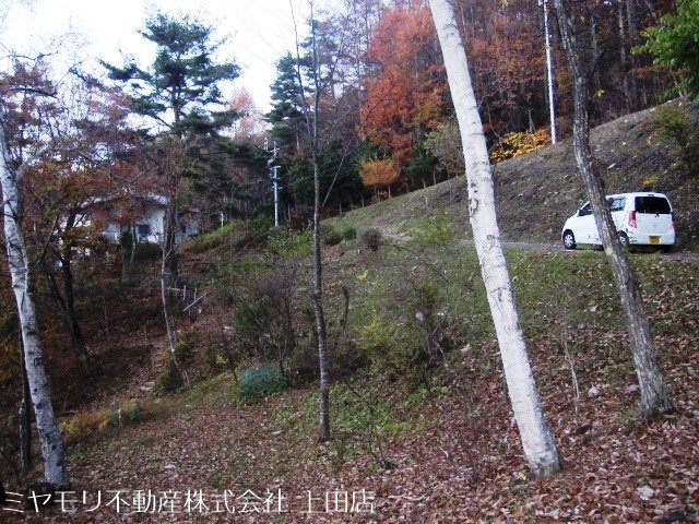 青木村沓掛　土地 その他