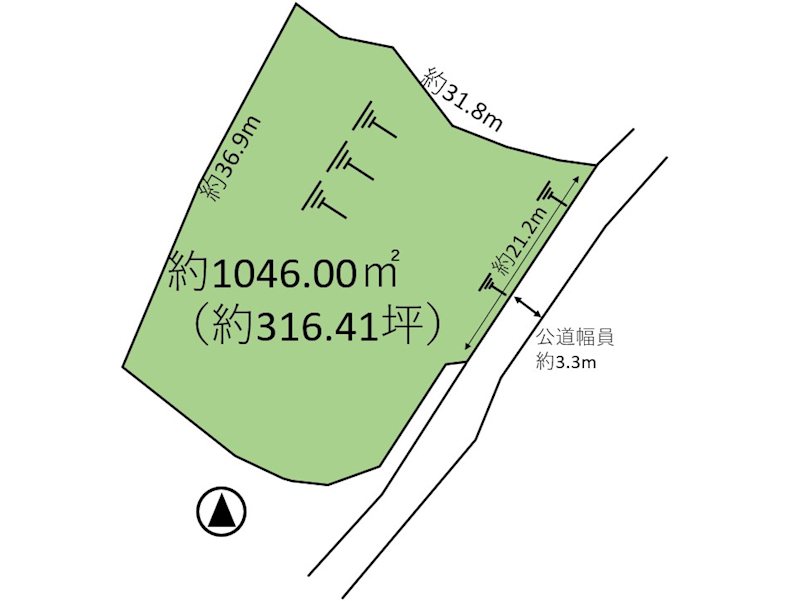 小諸市乙　土地 間取図・土地図
