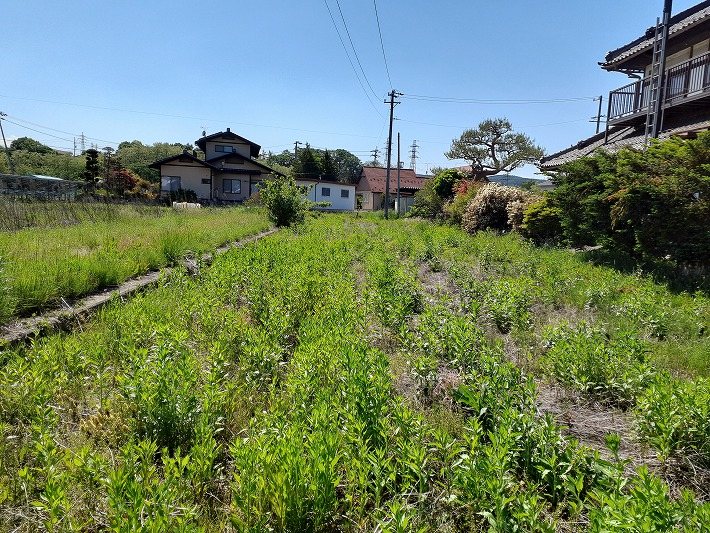 佐久市入沢　土地 現地写真